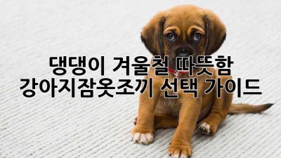 댕댕이 겨울철 따뜻함, 강아지잠옷조끼 선택 가이드