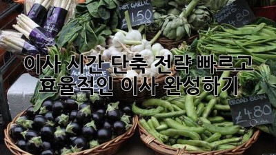 이사 시간 단축 전략: 빠르고 효율적인 이사 완성하기!