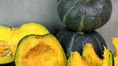 ✨미니호박 3kg 득템 후기! 놓치면 후회각?🎃